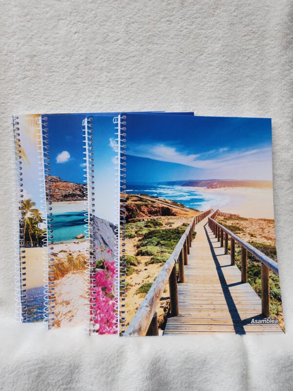 Cuadernos A4 tapa blanda x5