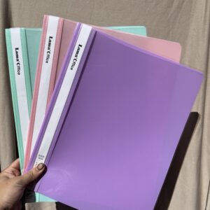 Carpeta tapa transparente pastel x3