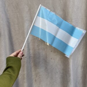Bandera y pintura ARGENTINA